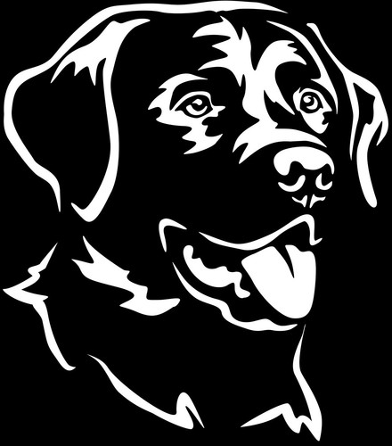 Labrador aufkleber - labrador,