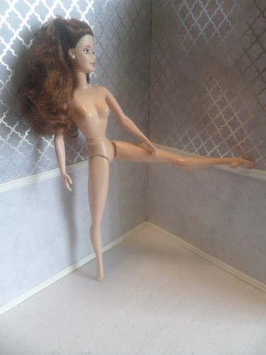 Barbie swan lake ballerina - swan,