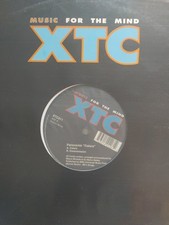 Panoramic - Colors /12" Label