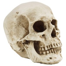 Realistische Totenkopf Deko Gothic Deko Menschlicher Schädel Modell
