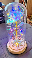 Ewige Rose in Glaskuppel LED