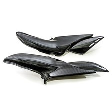 Carbon Tankverkleidung für