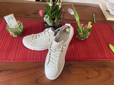 Tolle Sneakers v. Paul Green