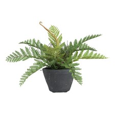 Kunstpflanze Farn, Farbe grün, 2er Set, inkl. grauem Zement-Topf, Höhe ca. 22 cm