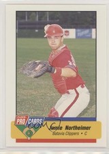 1994 Fleer ProCards Minor