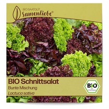 BIO Salat Samen Sorte Bunte