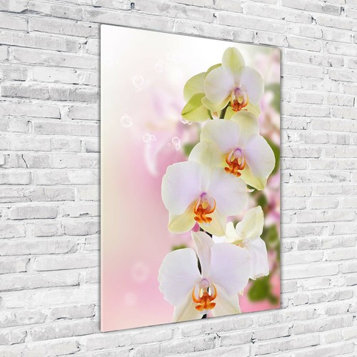 Wandbild druck auf - druck,