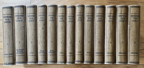Brehms tierleben 1920 kpl - tierleben, kpl.