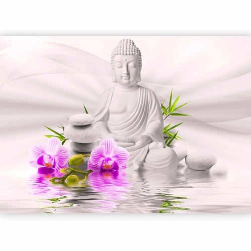Buddha blumen steine - blumen, spa