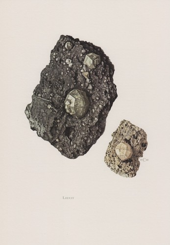 Leucit farbdruck mineralien - ,