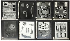 Alte Glasdias sw/w 8,5 x 10