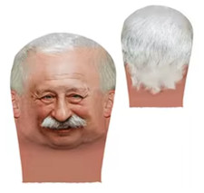 Realistische The Rock und