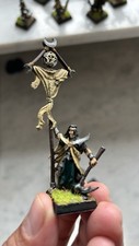 Warhammer Fantasy/Oldworld, Dunkelelfen, Dark Elves, Mengils Häuters Skalpjäjer