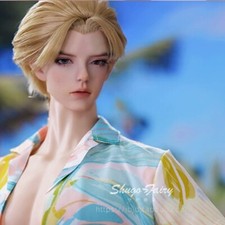 1/3 Resin BJD SD Ball Jointed