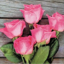 Dekobild Rose Rosen auf Holz Shabby  Dekofliese Mitbringsel Geschenkidee