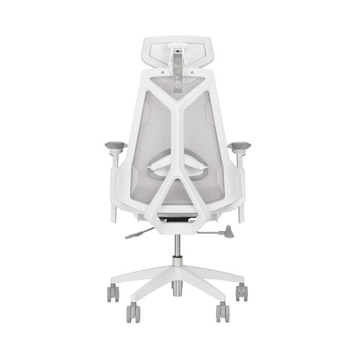 Asus rog destrier ergo - rog,