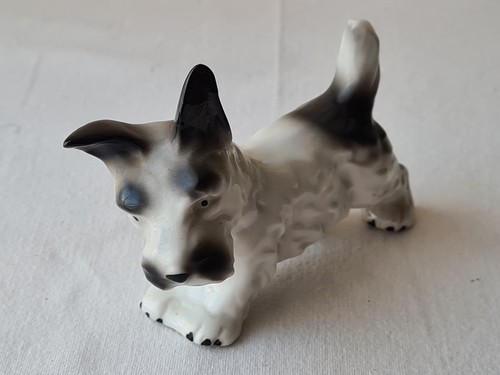Scottish terrier - scottish,