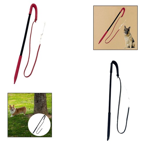 Hundetraining peitsche - hundetraining,