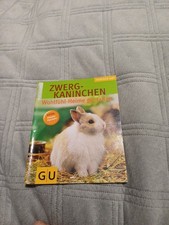 Zwergkaninchen (Taschenbuch)