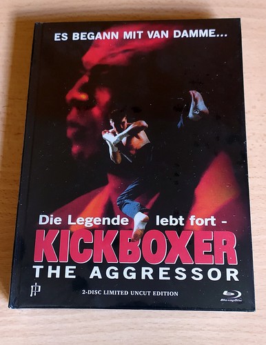 Kickboxer the aggressor - 4,