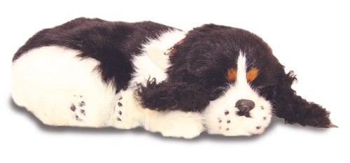 Precious petzzz breathing - precious,