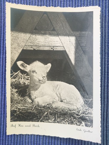 Alte ansichtskarte postkarte - ansichtskarte,