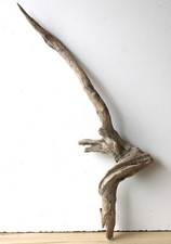 Treibholz Schwemmholz