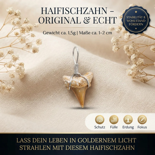 Original haifischzahn - original,