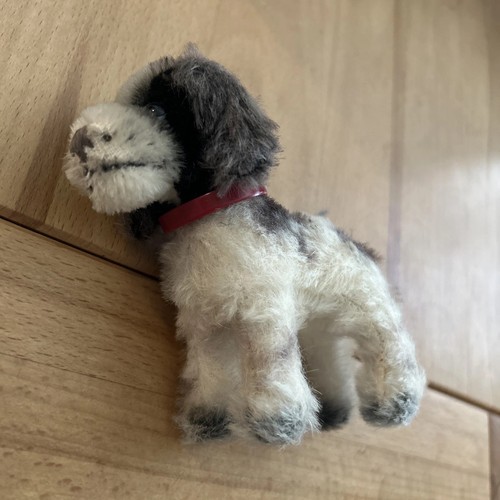 Steiff hund cockie - -,