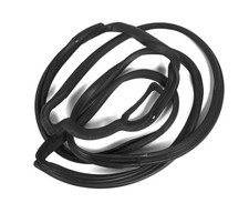 Türdichtung vorn links für