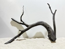 Schwarze Moorwurzel XL