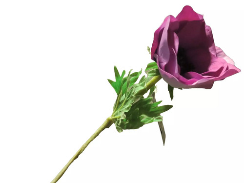 Silk anemone - silk-ka,