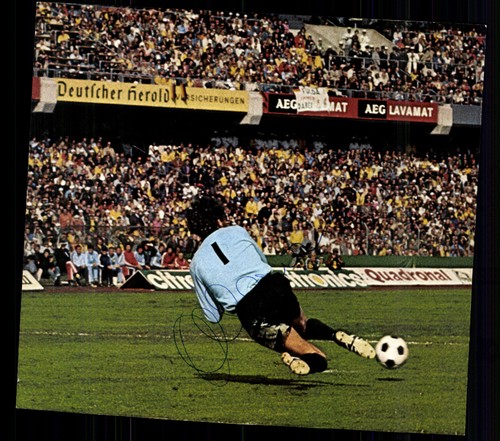 Sepp maier bayern - sepp, fc