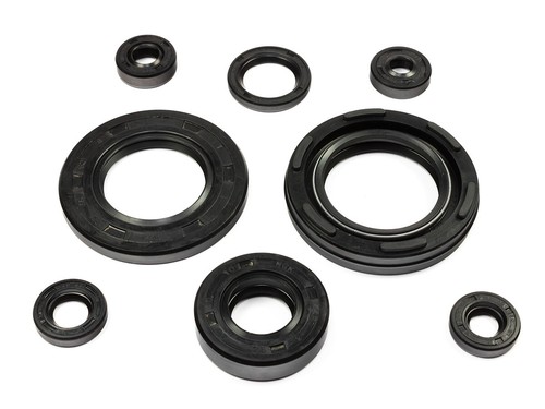 Motor simmeringe satz stück - simmeringe,