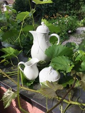 KPM-Berlin Kaffeekern Neuosier