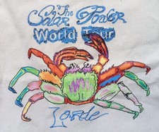 LORDE The Solar Power World