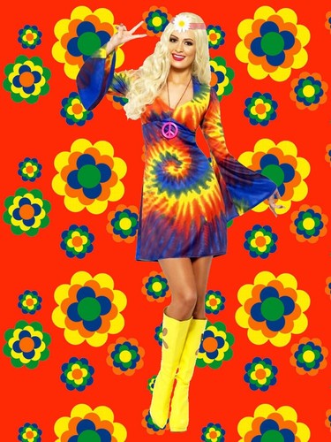 529 regenbogen - 529✪,