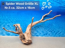 🪸 Moorkienwurzel- Spiderwood 🕸 Größe XL  Aquarium Wurzel
