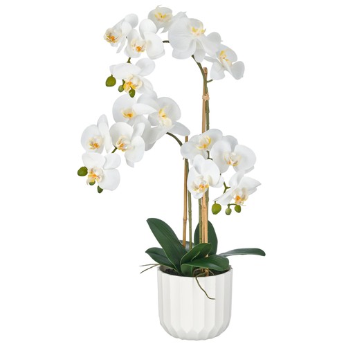 Kunstpflanze phalaenopsis - kunstpflanze,