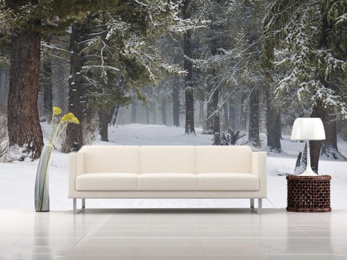Schnee wald q6140 tapete - wald,