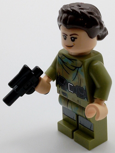 Princess leia endor - -,