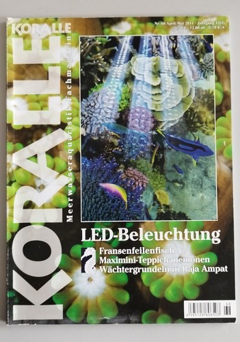 Koralle led beleuchtung - koralle, 68
