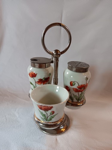 Jugendstil menage porzellan - menage,