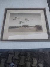 Bild " Schwäne über der