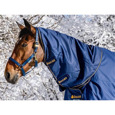 Bucas 125 Navy/Gold Halsteil