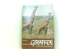 Wenn die Giraffen zur Tränke