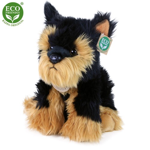 Terrier cm hund - 27, cm,