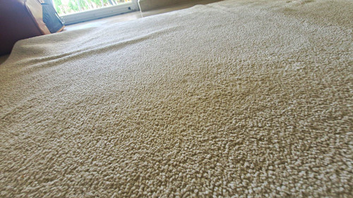 Paco home porto teppich - paco,