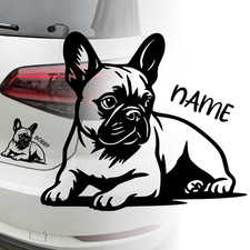 Französische Bulldogge Auto