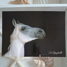 Pferdepostkarte AK Pferd Kunstverlag Michel Nr. 78 Araber